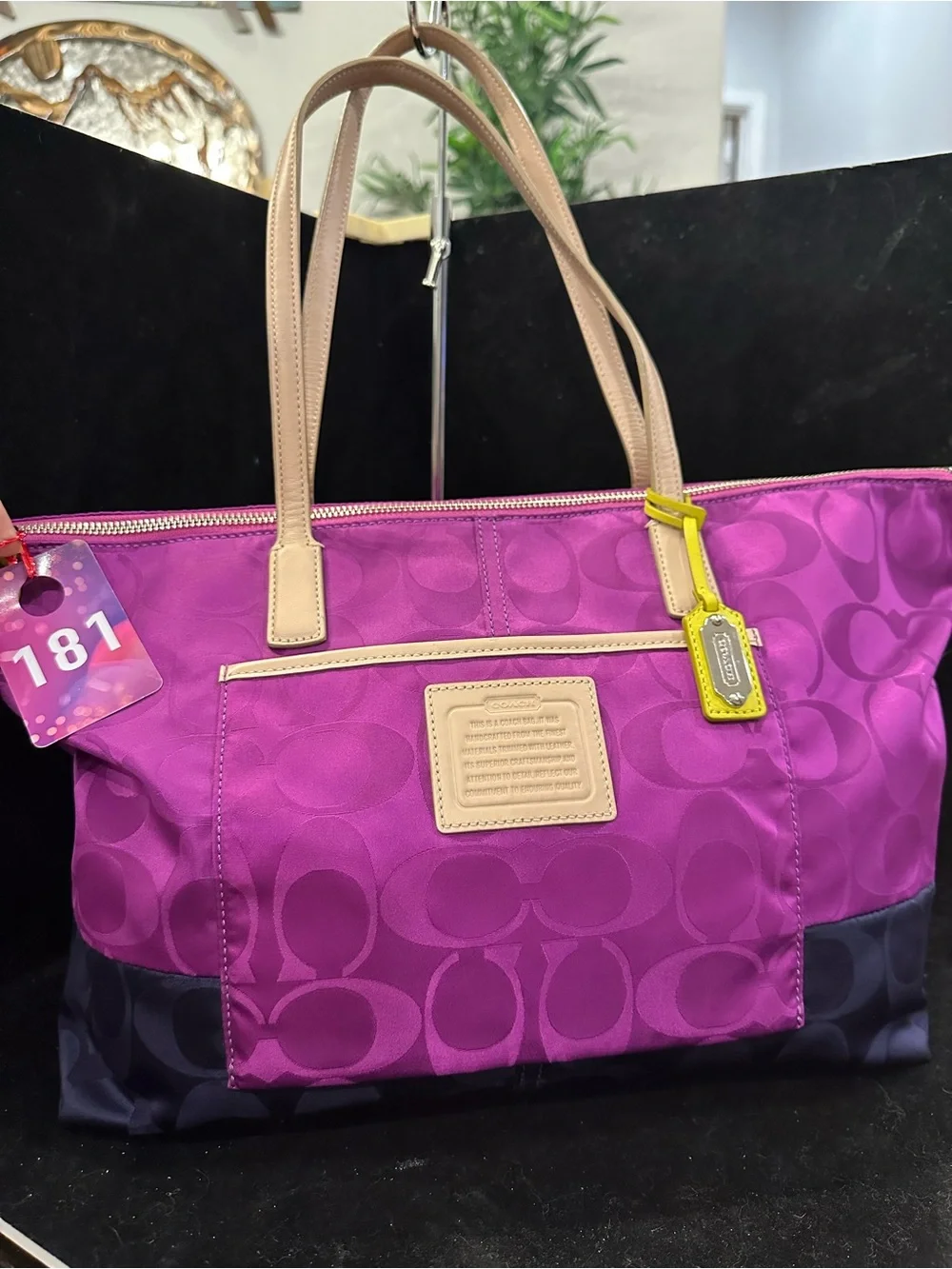 Coach #181 Legacy Weekend Signsture Colorblock Nylon East/West Tote